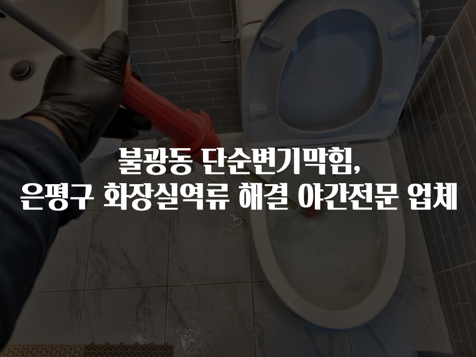 불광동 단순벤기막힘, 은평구 화장실역류 해결 야간전문 업체 | 뚫어드림119