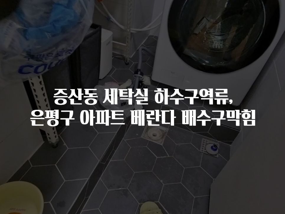 중산동 세탁실 하수구역류 은평구 아파트 배관다 배수구막힘 | 뚫어드림119