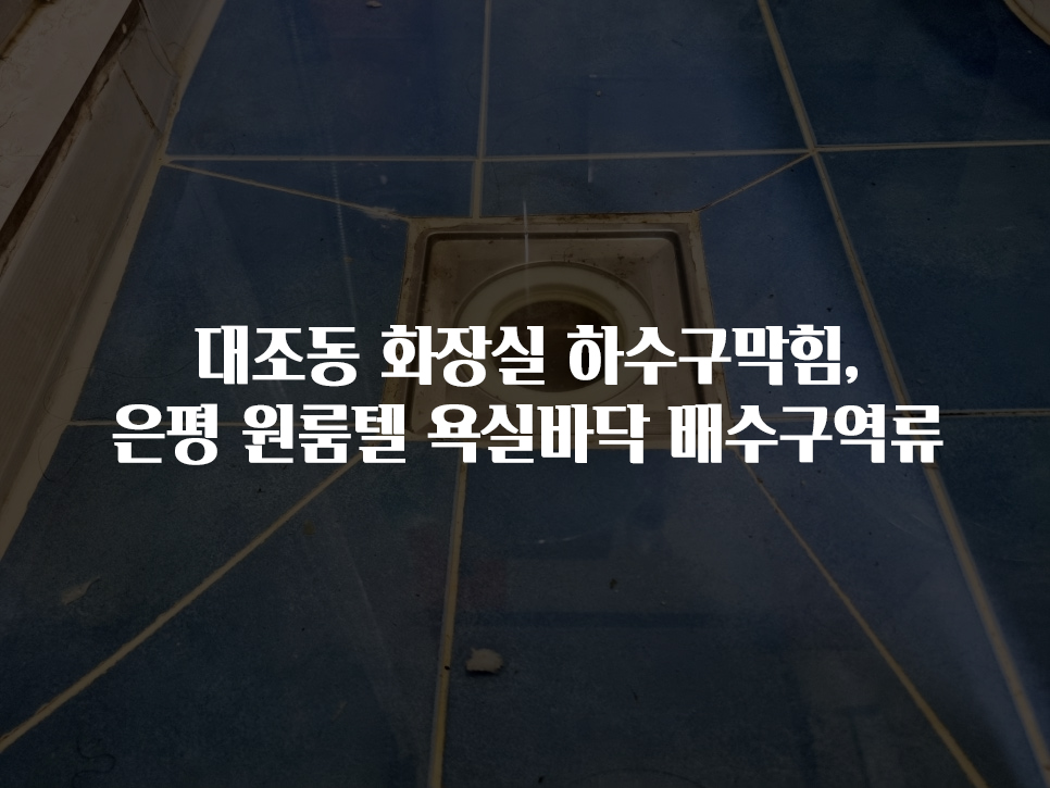 대조동 화장실 하수구막힘, 은평 원룸텔 욕실배관 패스구역류 | 뚫어드림119