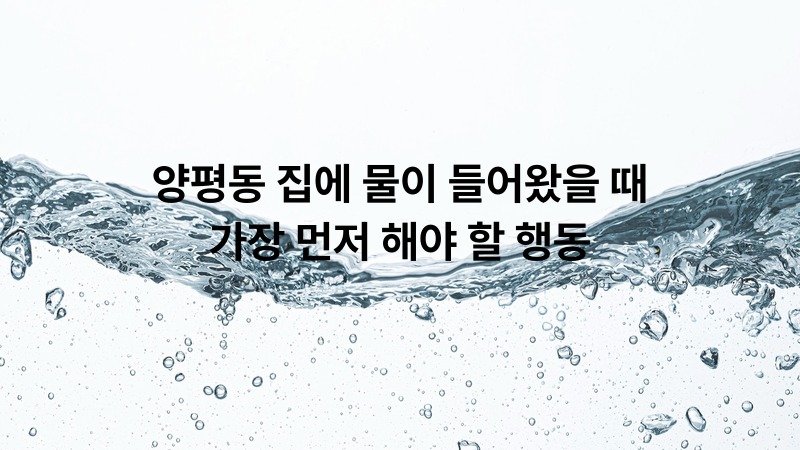 양평동 집에 물이 들어왔을 때 가정 먼저 해야 할 행동 | 뚫어드림119