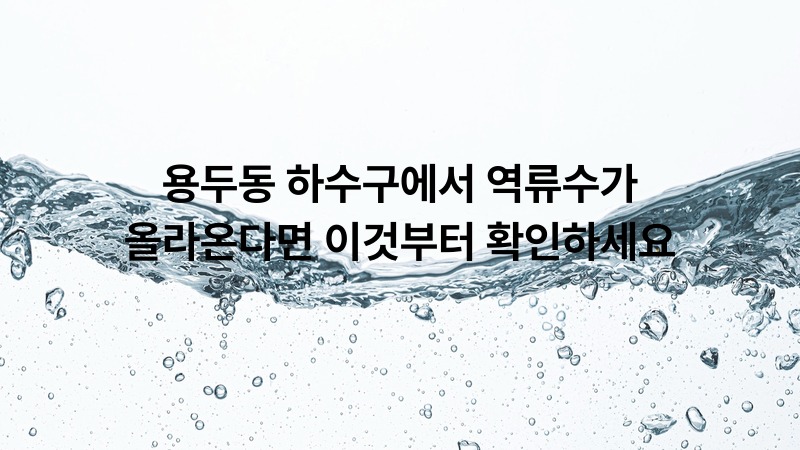 용두동 하수구역류수가 올라온다면 이것부터 확인하세요 | 뚫어드림119