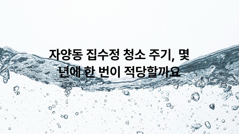 자양동 집수정 청소 주기, 몇 년에 한 번이 적당할까요