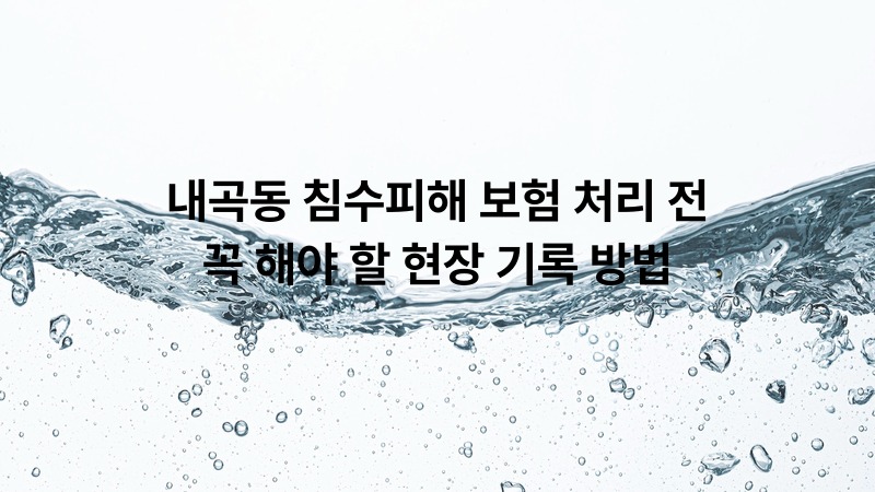 내곡동 침수피해 보험 처리 전 꼭 해야 할 현장 기록 방법