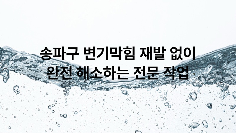 송파구 변기막힘 재발 없이 완전 해소하는 전문 작업