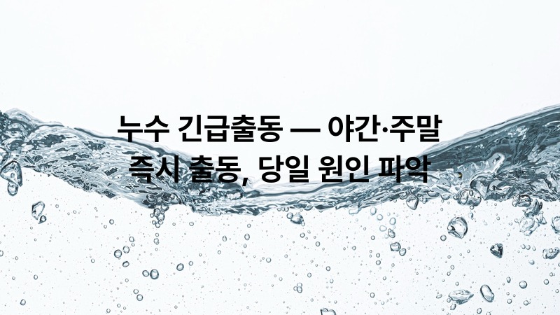 누수 긴급출동 — 야간·주말 즉시 출동, 당일 원인 파악