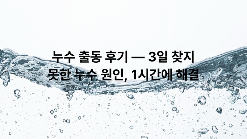 누수 출동 후기 — 3일 찾지 못한 누수 원인, 1시간에 해결