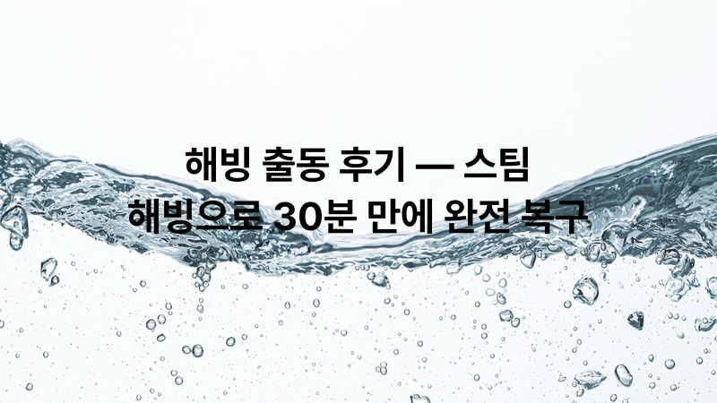 해빙 출동 후기 — 스팀 해빙으로 30분 만에 완전 복구