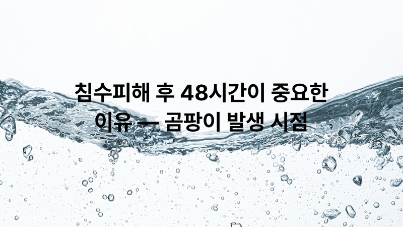 침수피해 후 48시간이 중요한 이유 — 곰팡이 발생 시점