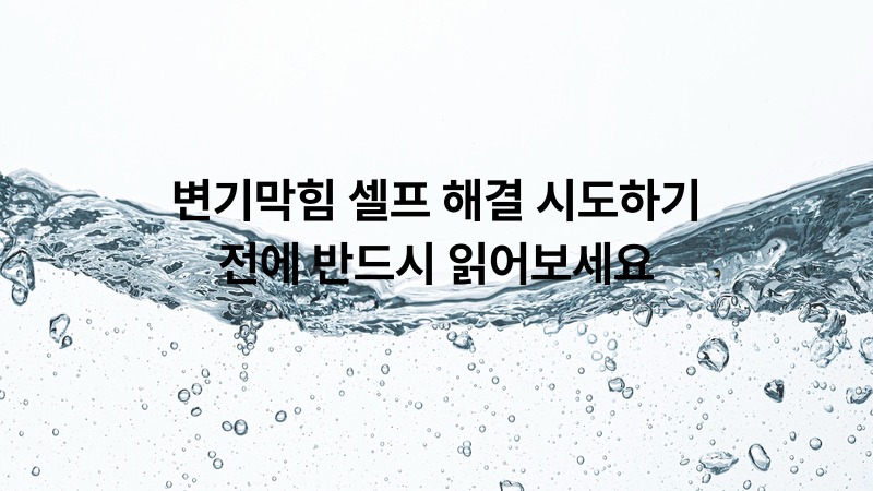 변기막힘 셀프 해결 시도하기 전에 반드시 읽어보세요