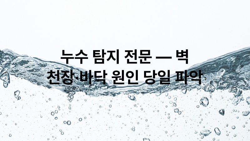누수 탐지 전문 — 벽·천장·바닥 원인 당일 파악