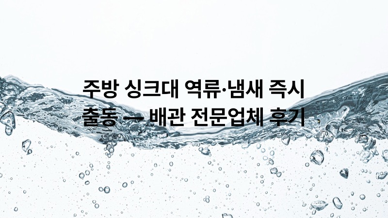 주방 싱크대 역류·냄새 즉시 출동 — 배관 전문업체 후기