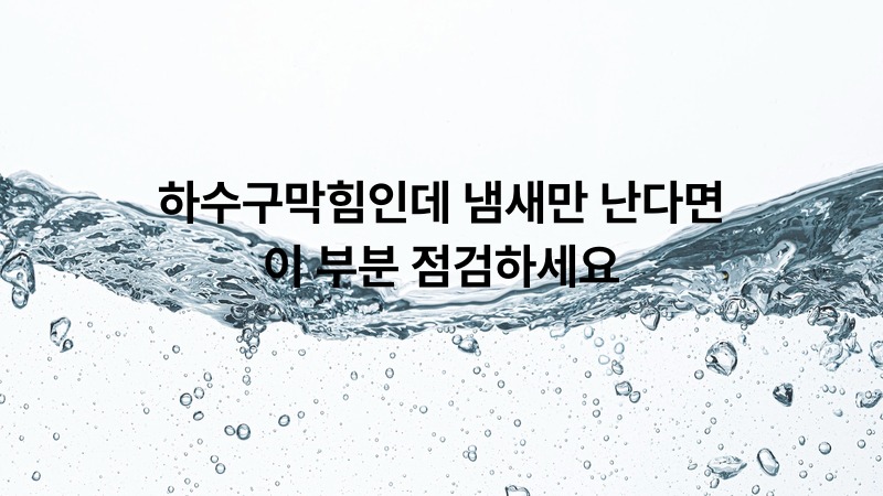 하수구막힘인데 냄새만 난다면 이 부분 점검하세요