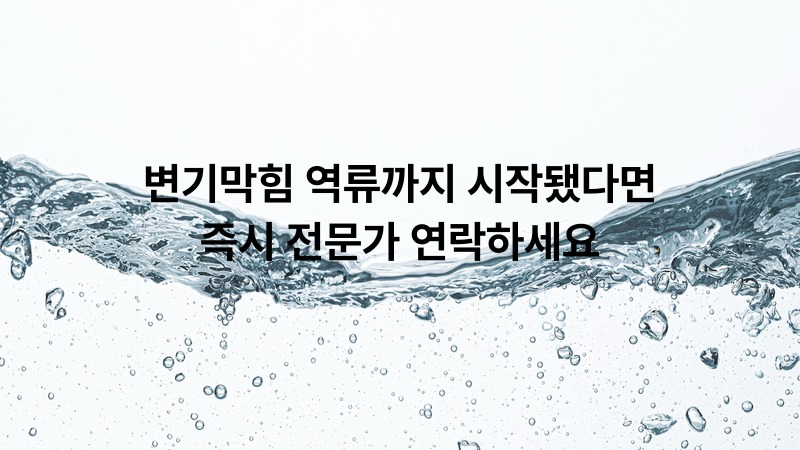 변기막힘 역류까지 시작됐다면 즉시 전문가 연락하세요