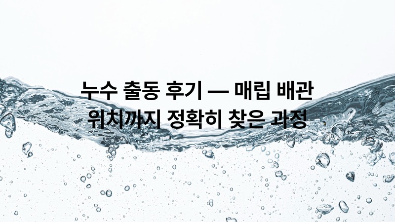 누수 출동 후기 — 매립 배관 위치까지 정확히 찾은 과정