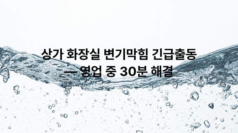 상가 화장실 변기막힘 긴급출동 — 영업 중 30분 해결