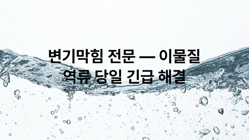 변기막힘 전문 — 이물질·역류 당일 긴급 해결