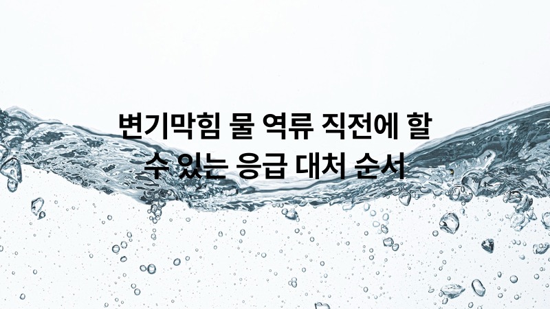 변기막힘 물 역류 직전에 할 수 있는 응급 대처 순서